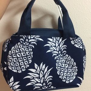 Southern pineapple lunch box